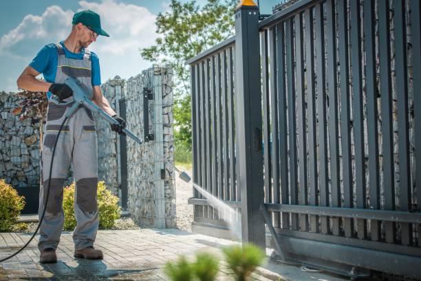 Best Vinyl Siding Pressure Washing in Blooming Prairie, MN