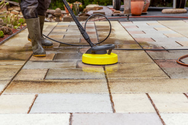 Best Roof Cleaning and Mildew Removal in Blooming Prairie, MN
